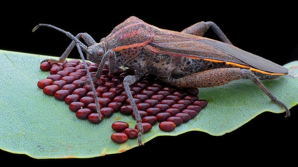 Photograph by Chen-You Li