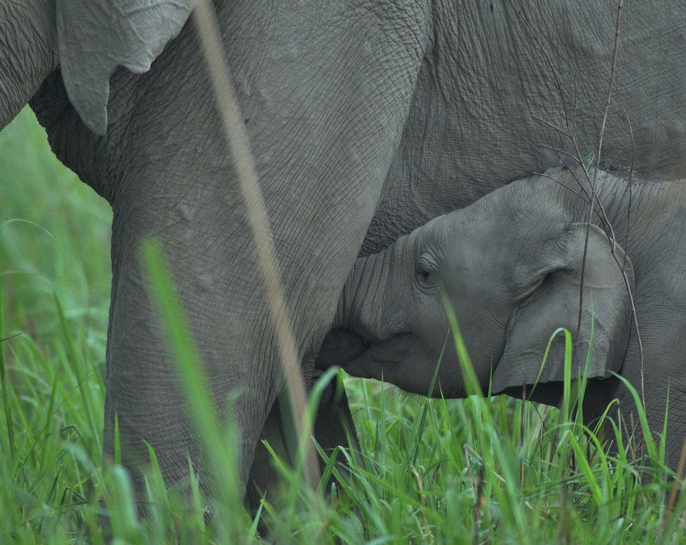 Photograph by hirak majumdar