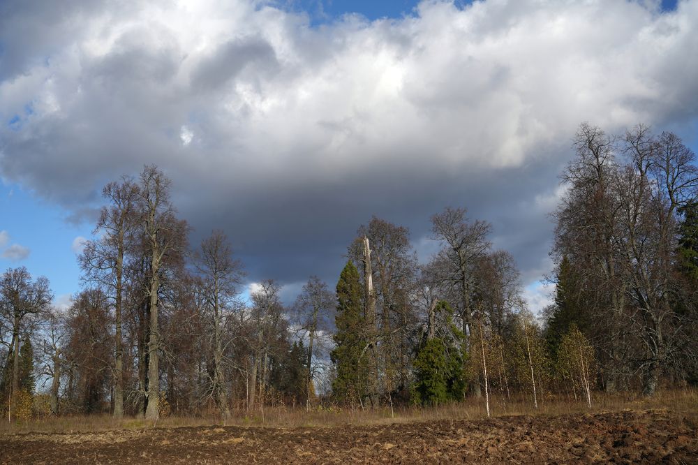 Photograph by Измаил Ефимов