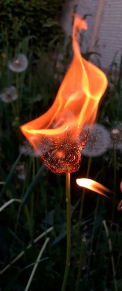 Photograph by Кристина Присяжная