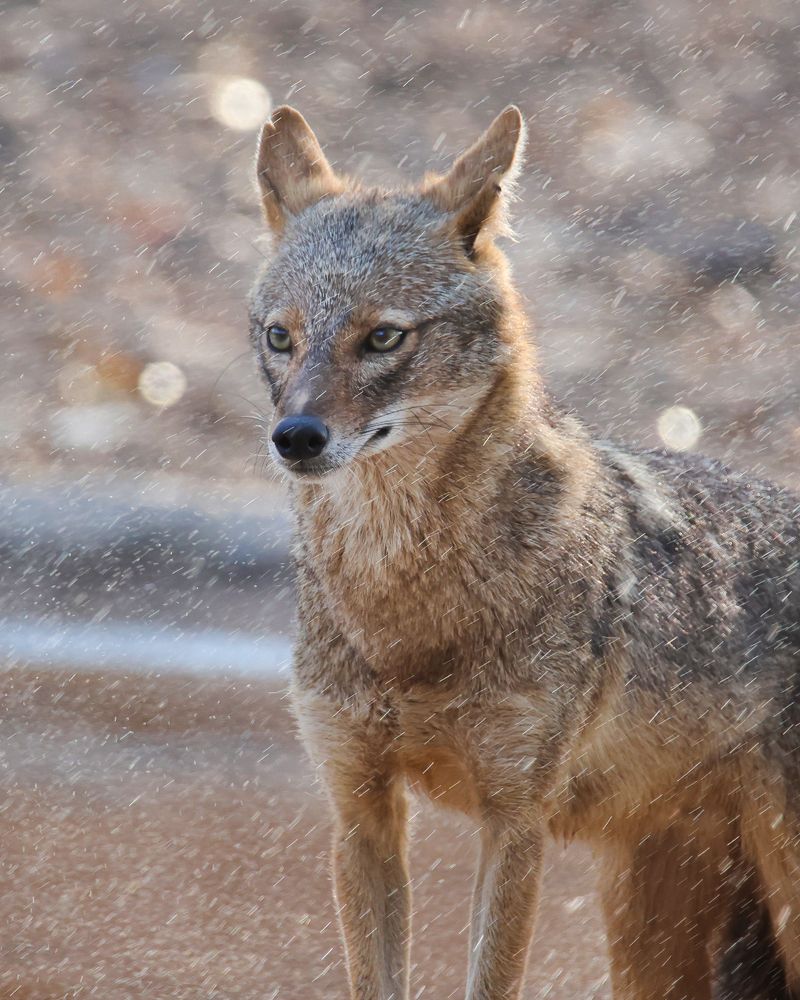 Photograph by Prince sakhiya