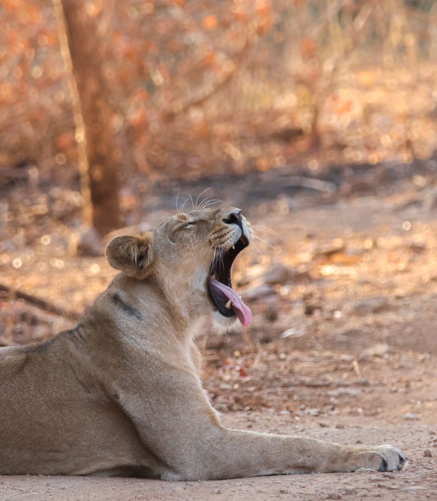 Photograph by Prince sakhiya