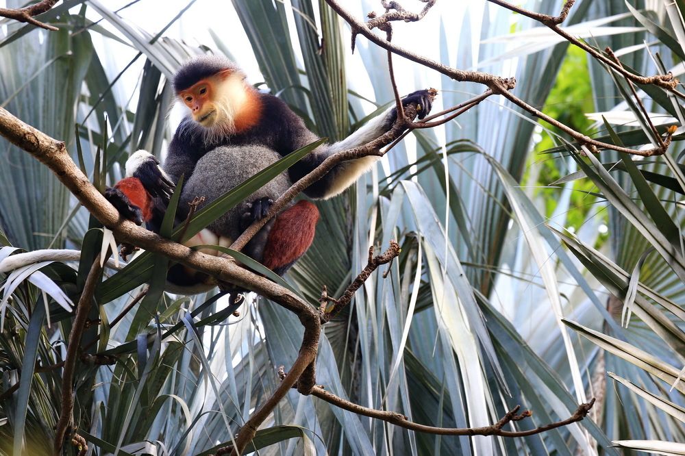 Фотография автора Mark Levitin