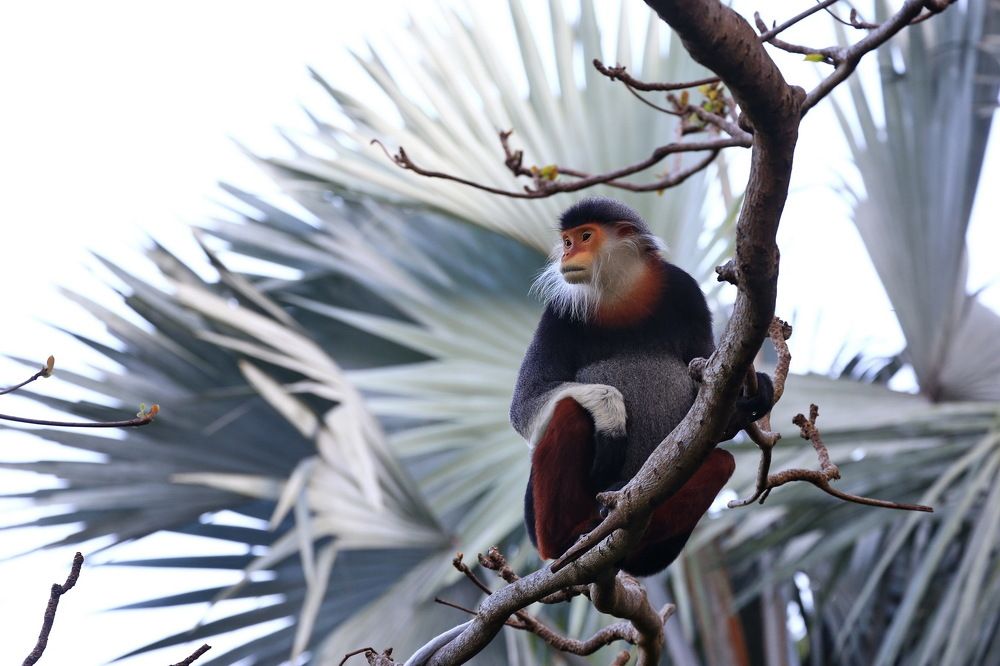 Photograph by Mark Levitin