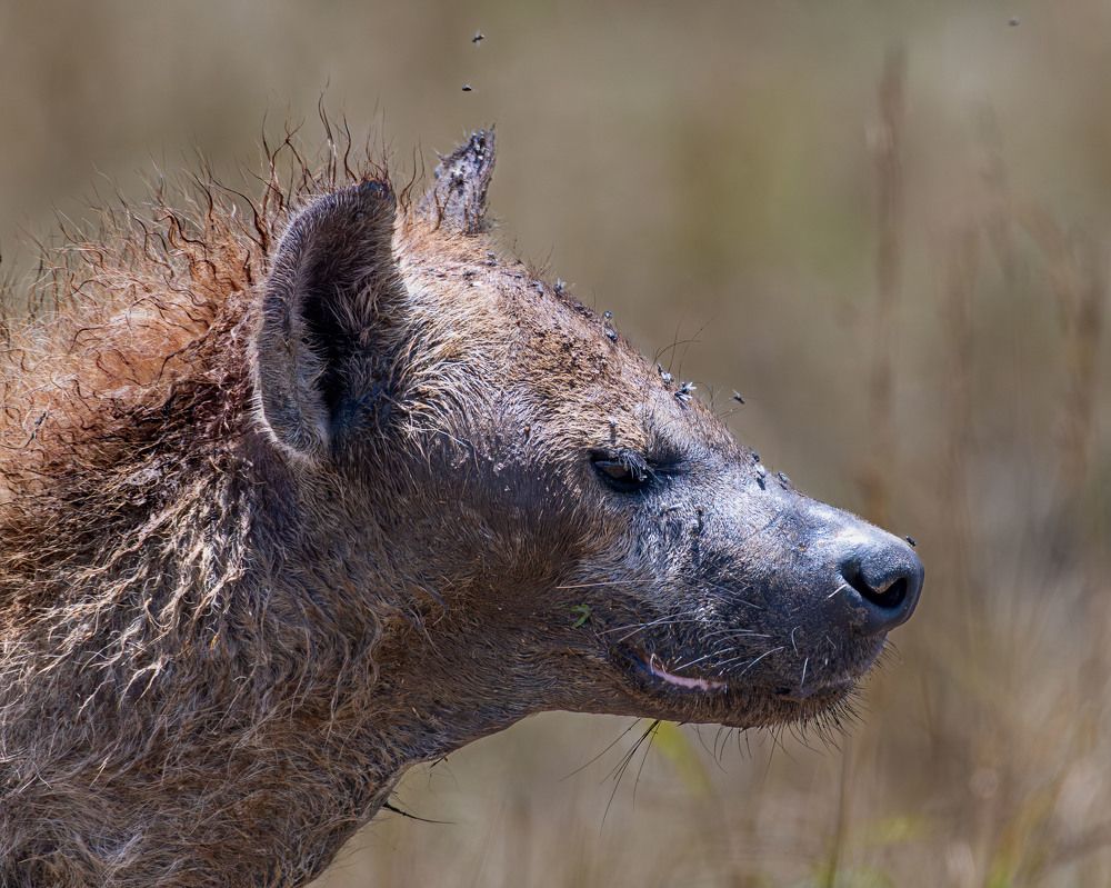 Фотография автора Gokul Addanki