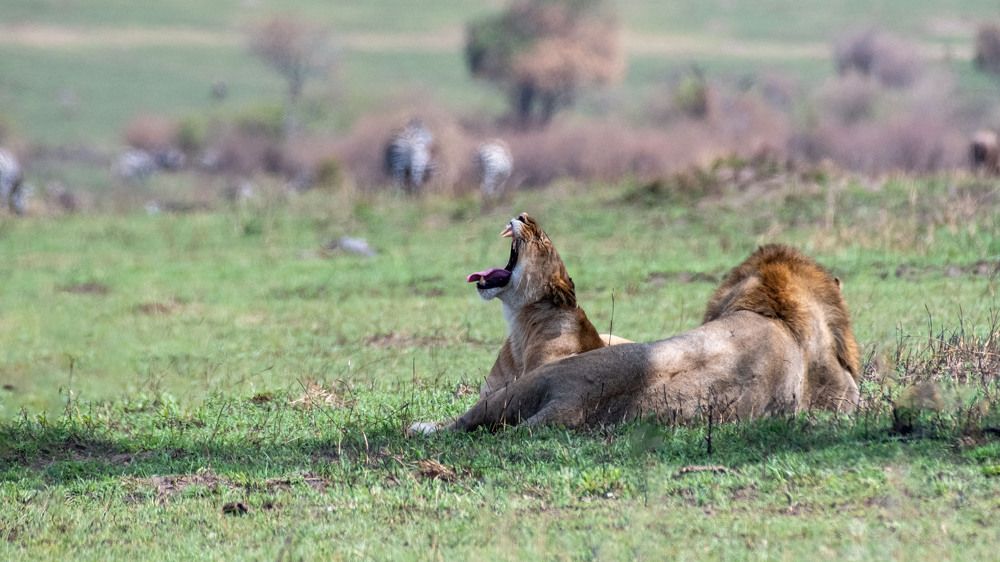 Фотография автора Gokul Addanki