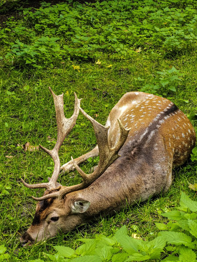 Photograph by Влад Апанасов