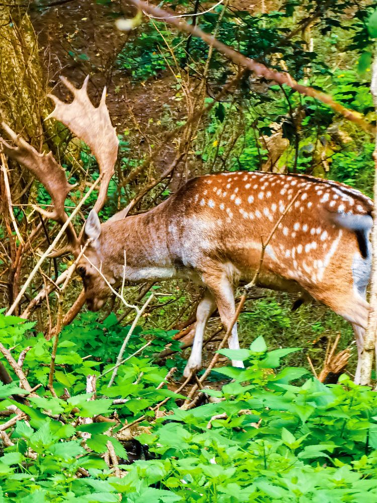 Photograph by Влад Апанасов