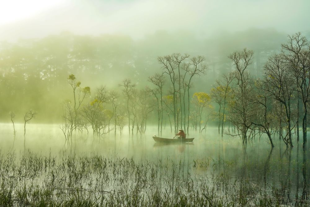 Photograph by Hoai Anh Dang