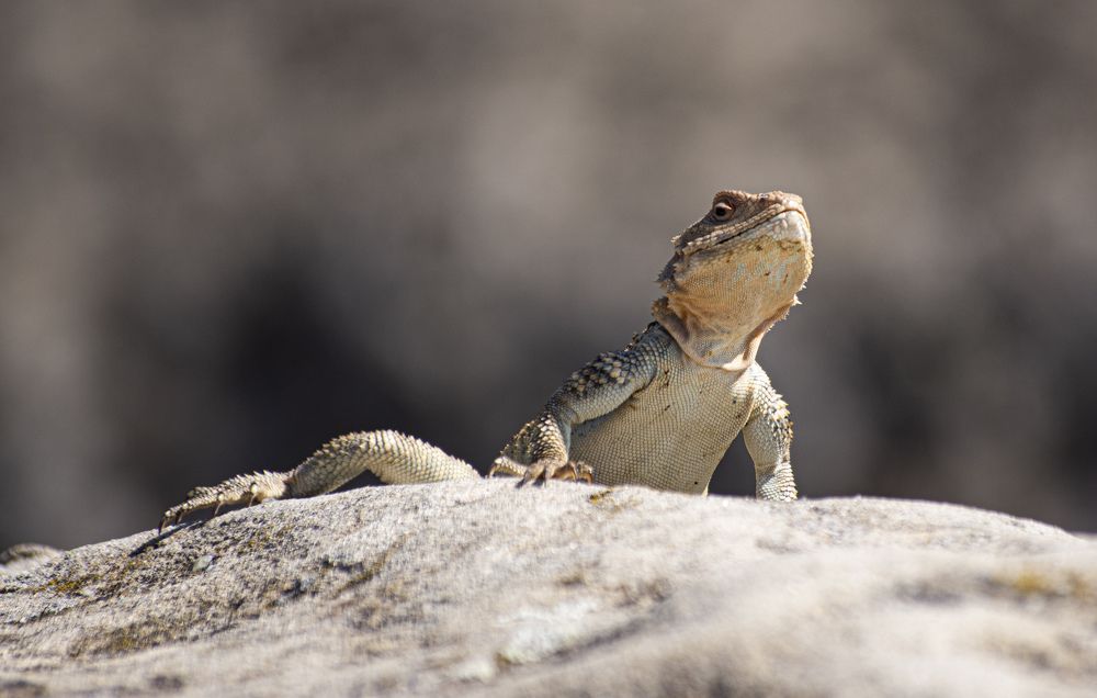 Photograph by Анна Васильева