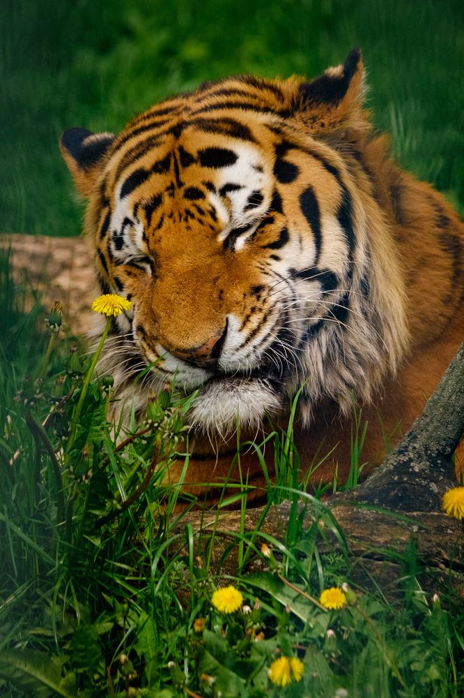 Photograph by Наталия Морозова