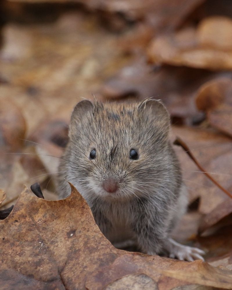 Photograph by Александр Затямин