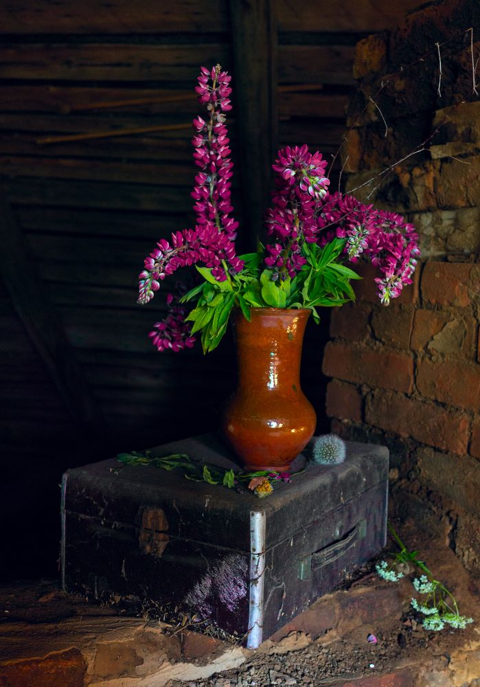 Фотография автора владимир шаронов