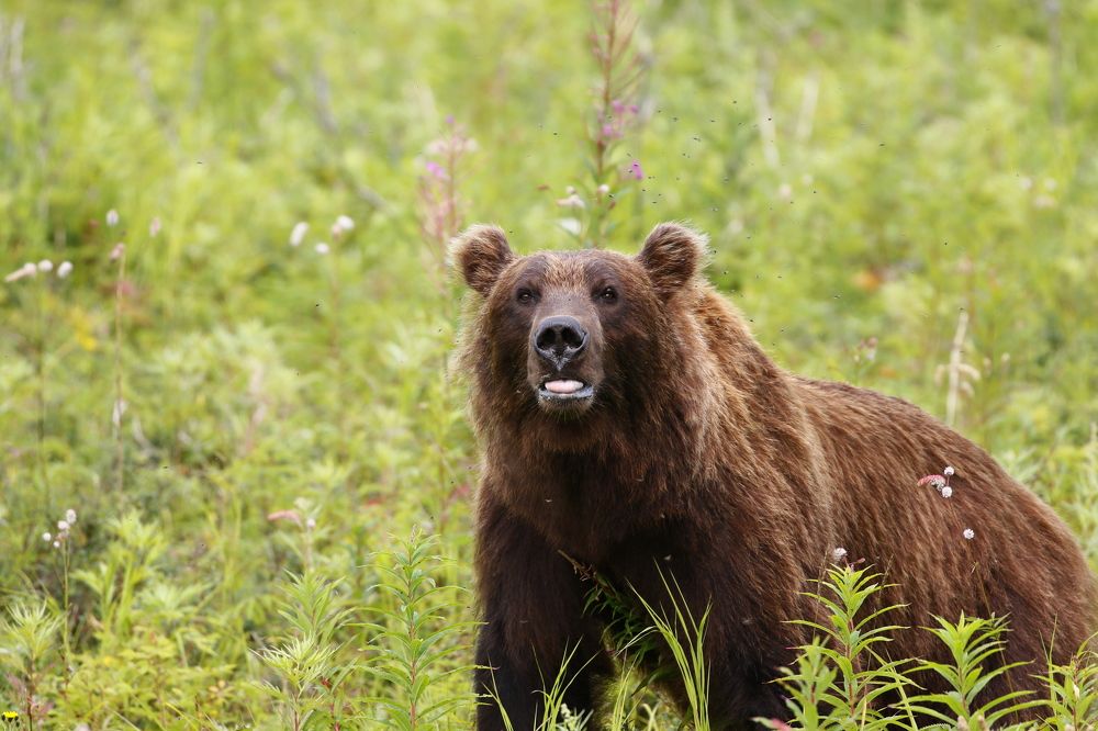Photograph by Наталья Турчик