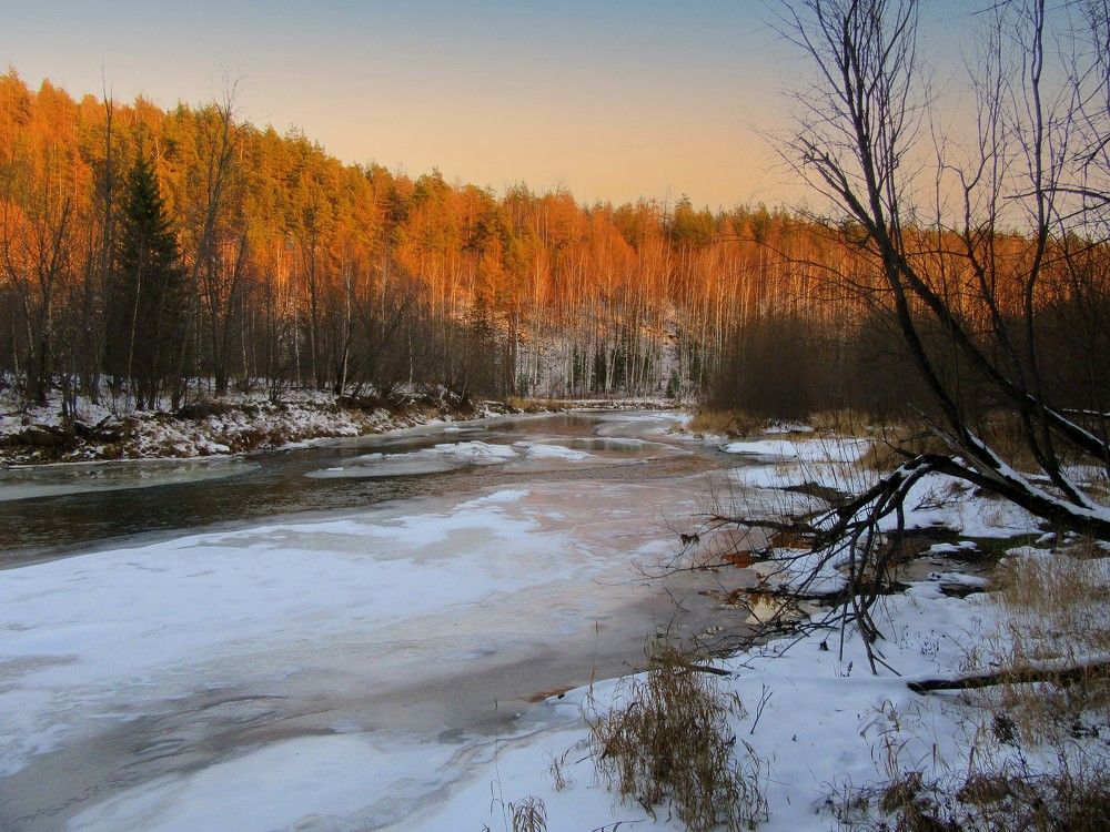 Photograph by Ирина Осипова