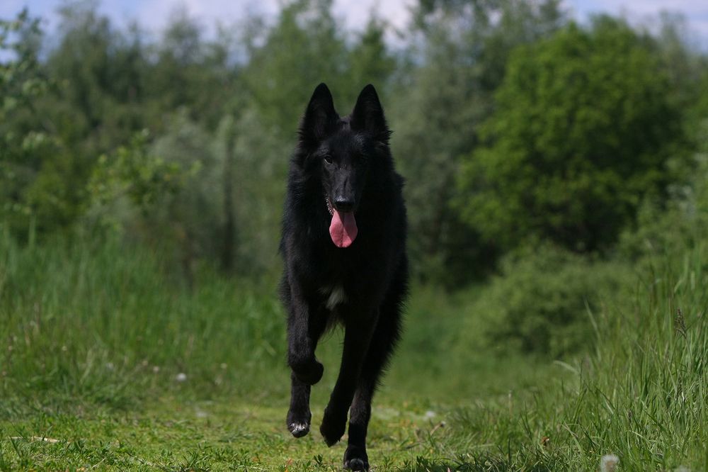 Фотография автора Надежда Лисицына