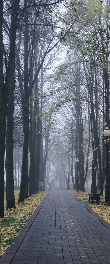 Photograph by Halina