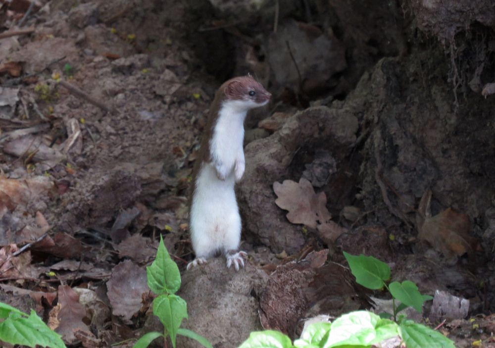 Photograph by Наталия Васильева