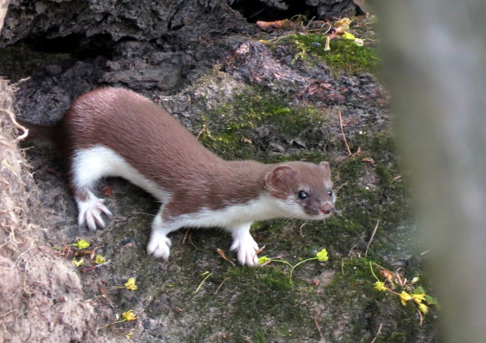 Photograph by Наталия Васильева