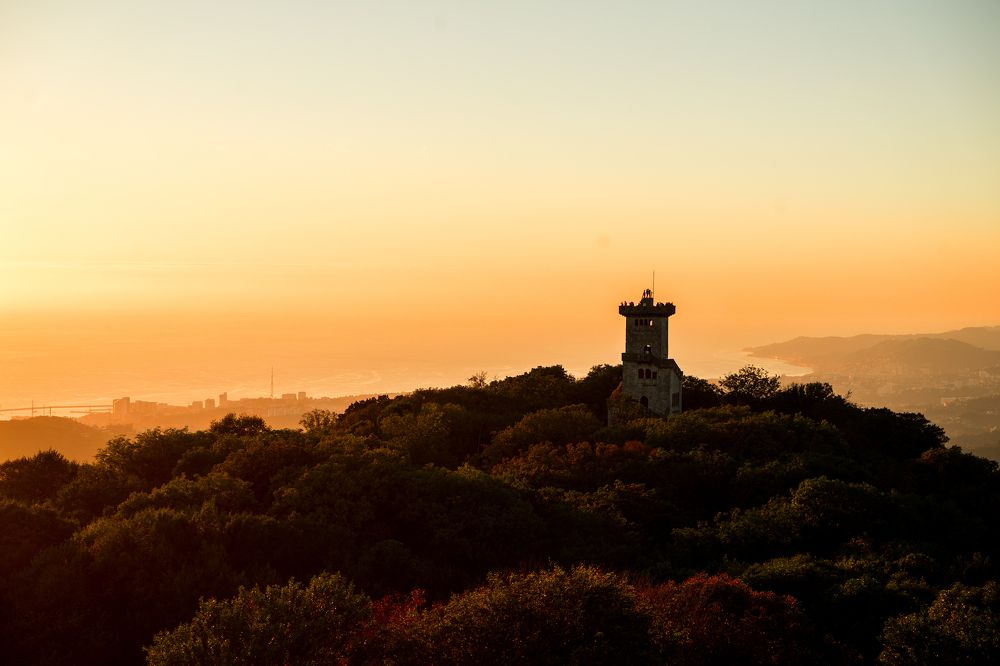 Фотография автора Василиса Новикова