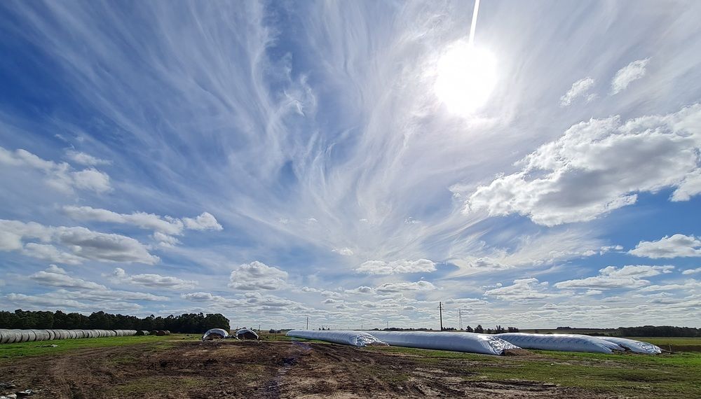 Photograph by Analía Pérez