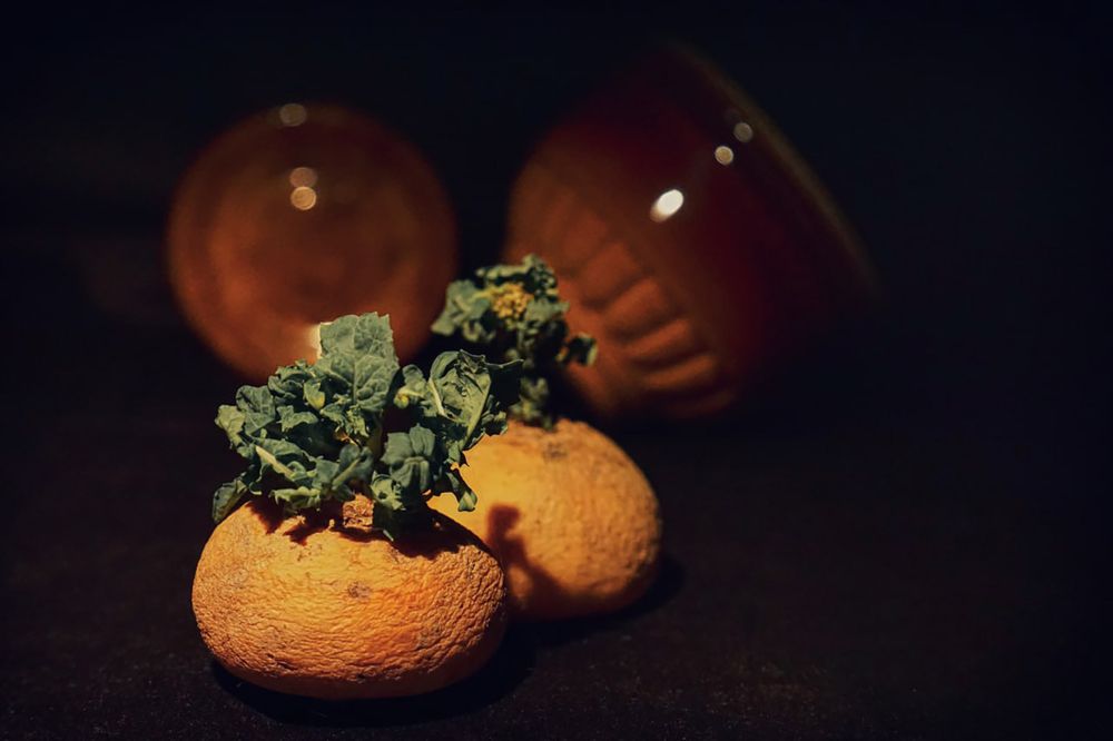 Photograph by Оксана Некрасова