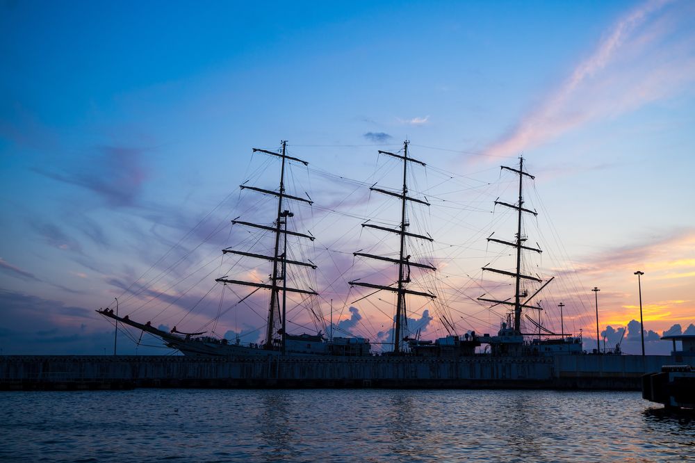 Фотография автора Василиса Новикова