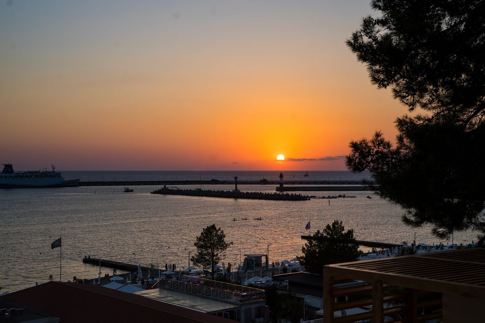 Фотография автора Василиса Новикова