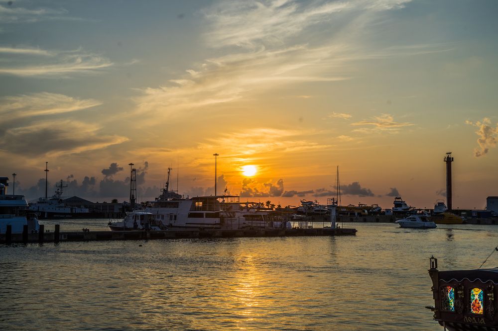 Фотография автора Василиса Новикова