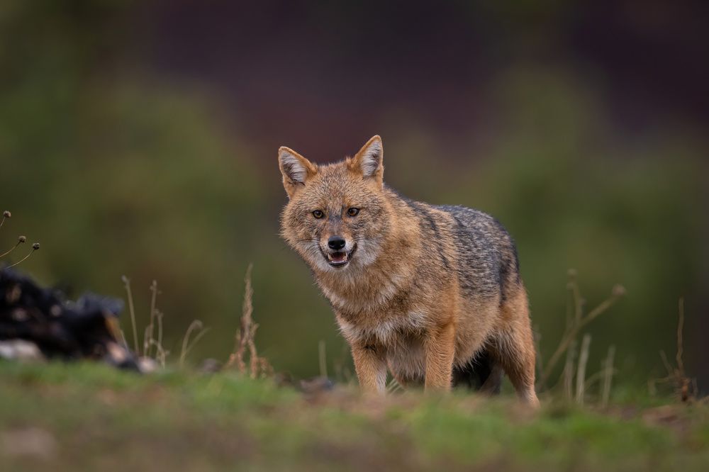Photograph by Nikolay Stoyanov