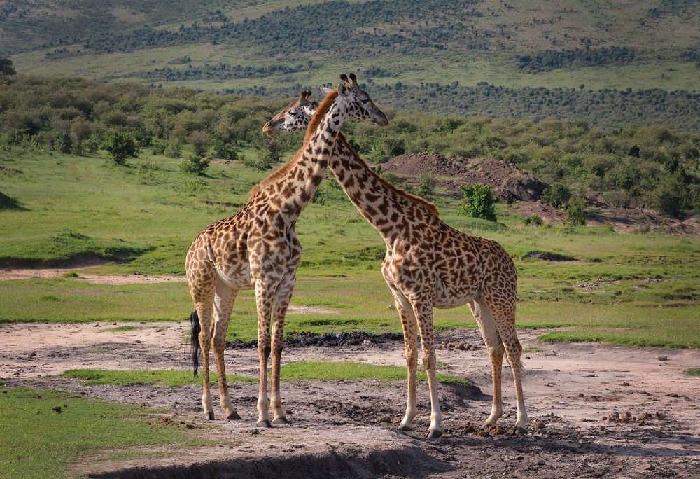 Photograph by Inna Ivanova