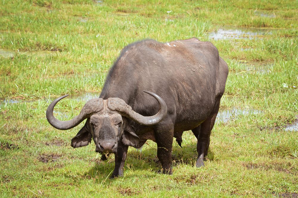 Photograph by Inna Ivanova