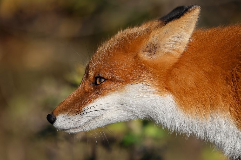 Photograph by Екатерина Якель