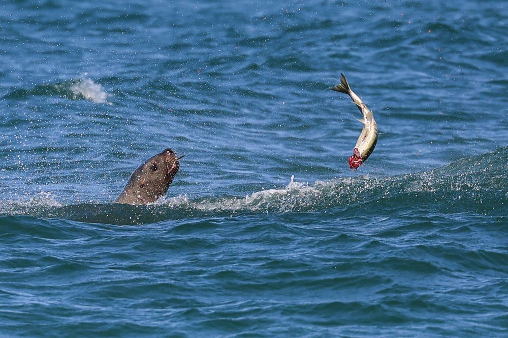 Photograph by Екатерина Якель