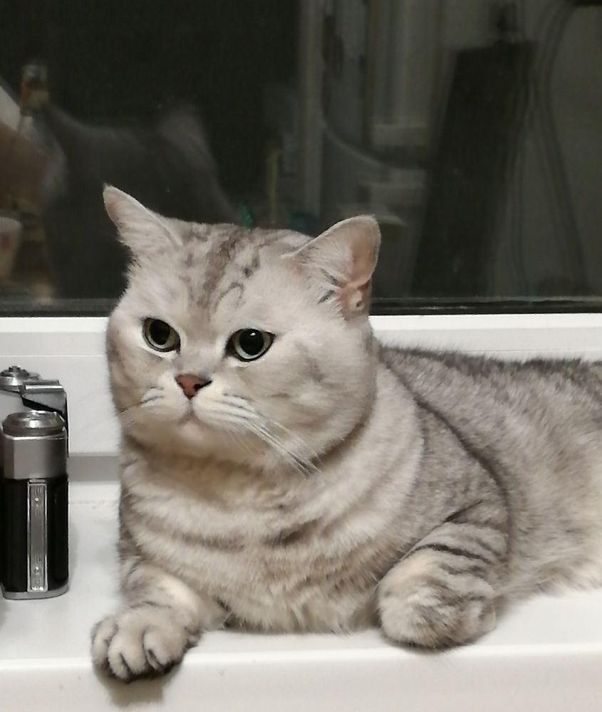 Photograph by Татьяна