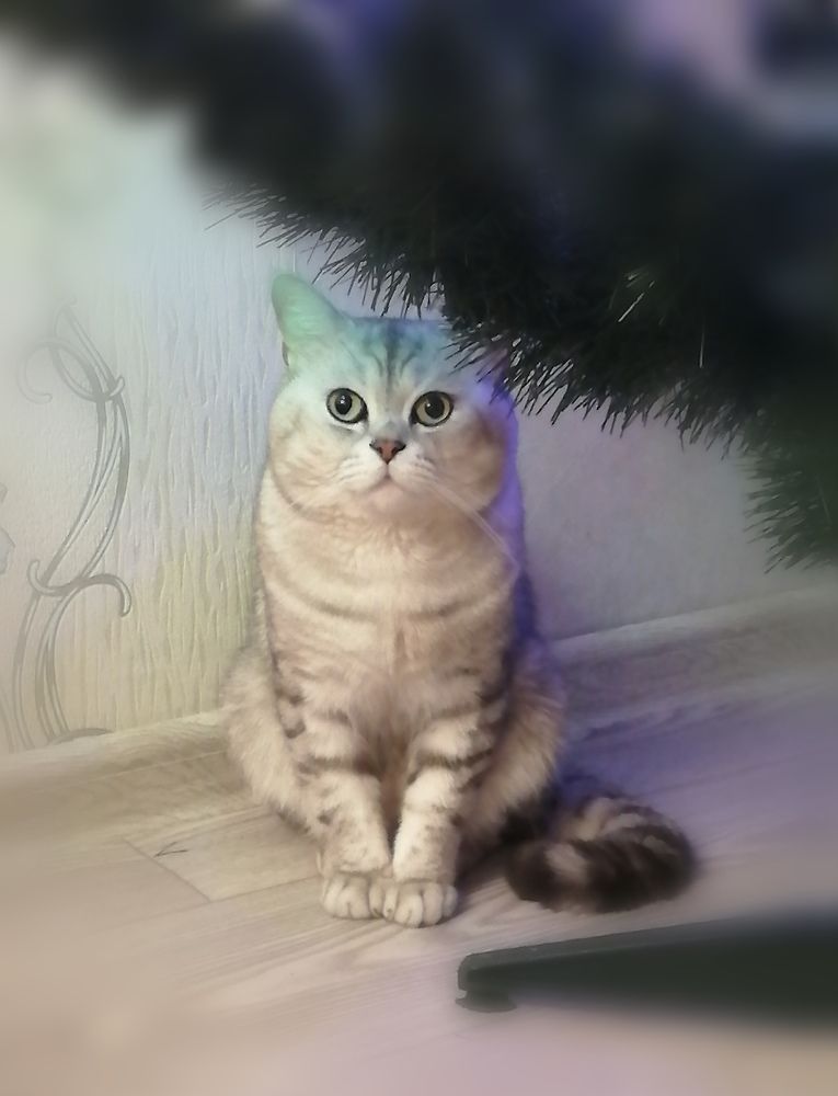 Photograph by Татьяна