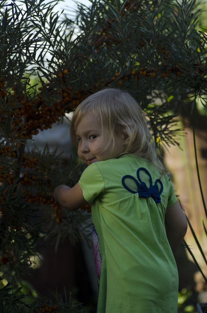 Photograph by Эльвира Быкова