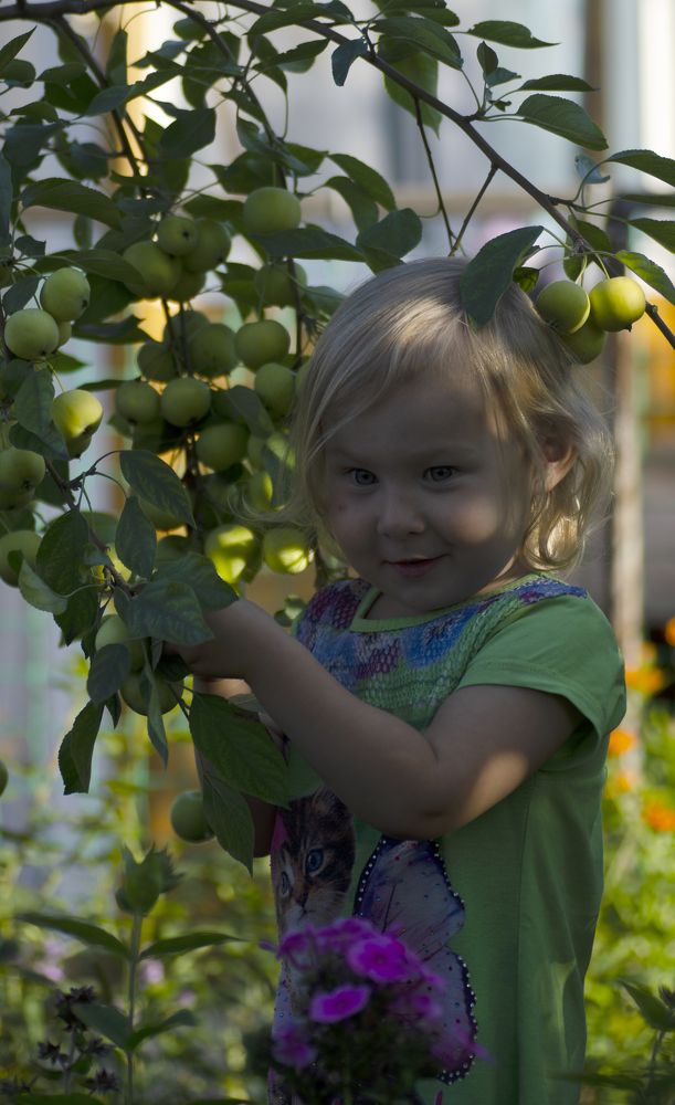 Photograph by Эльвира Быкова