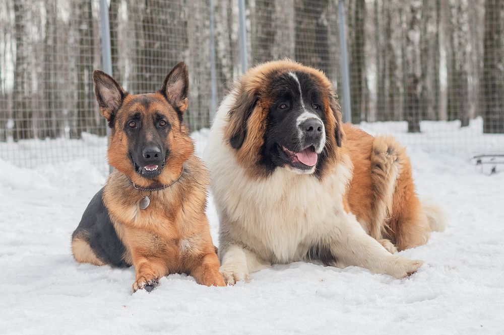 Photograph by Любовь Головина