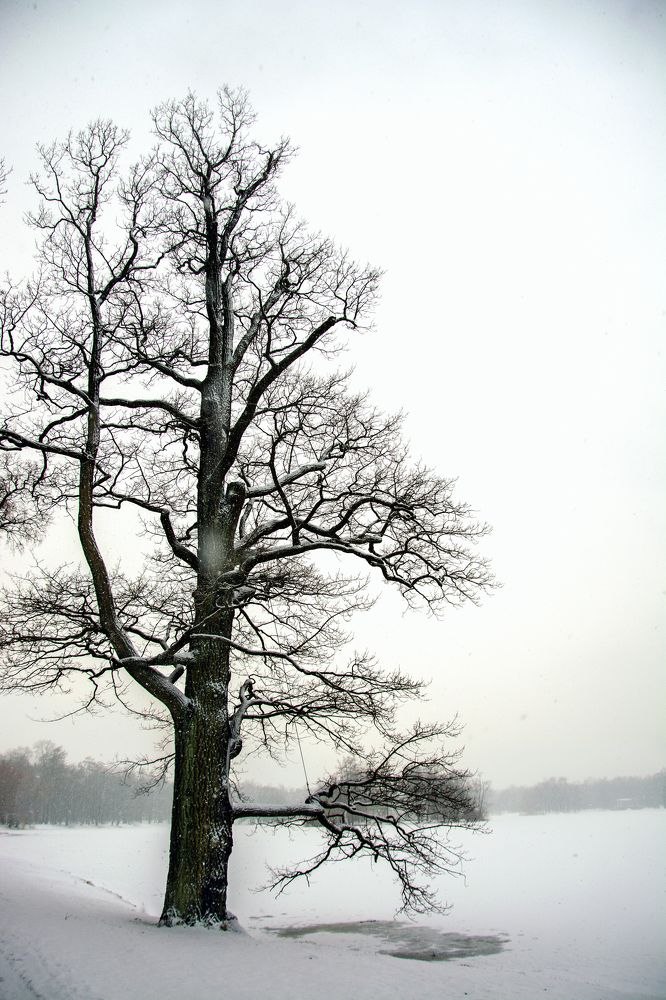 Photograph by Lesya Lambada