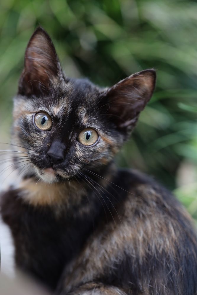 Photograph by Оксана Макрушина