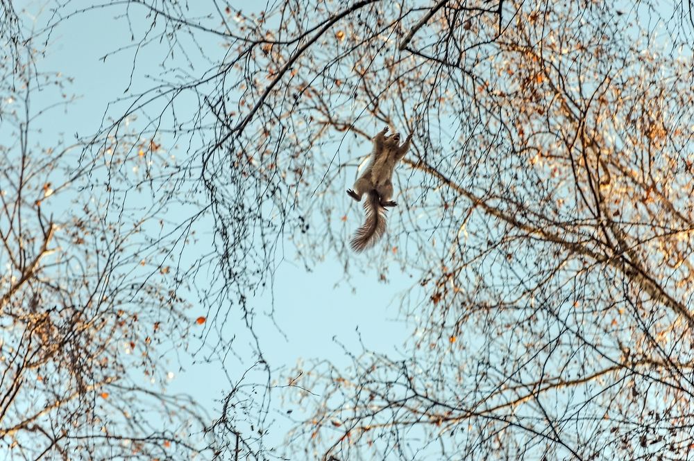 Photograph by Valery Kleymenov