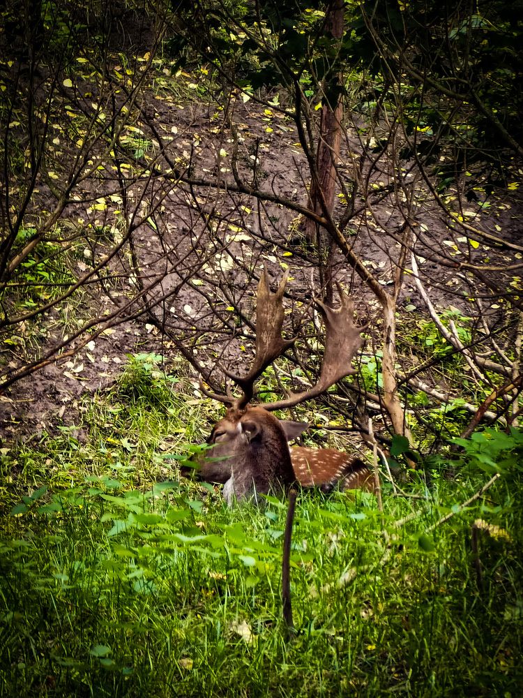 Photograph by Влад Апанасов