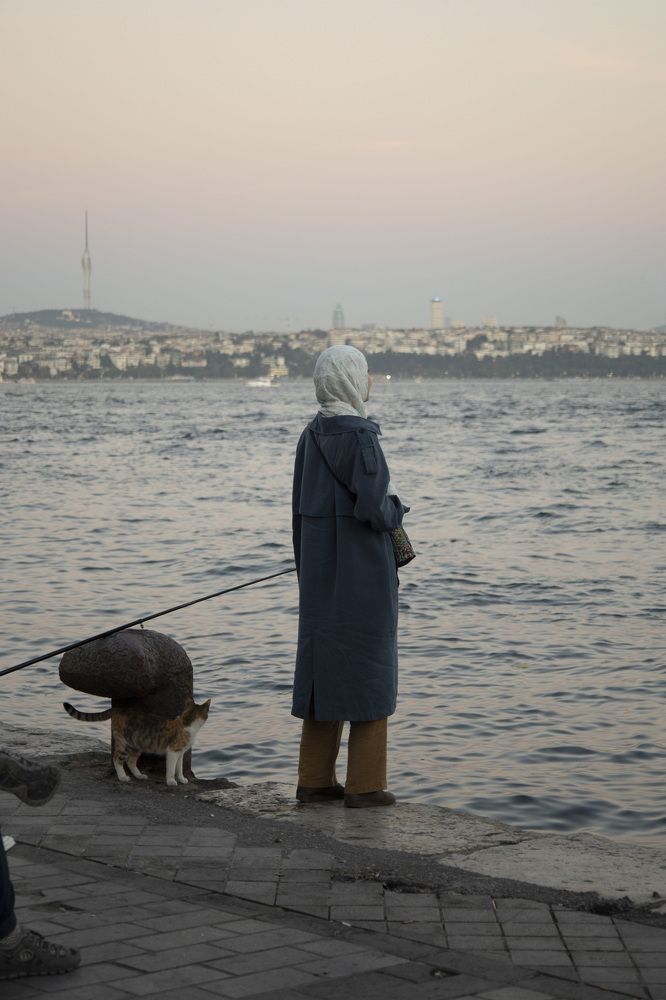 Photograph by Елена Можар