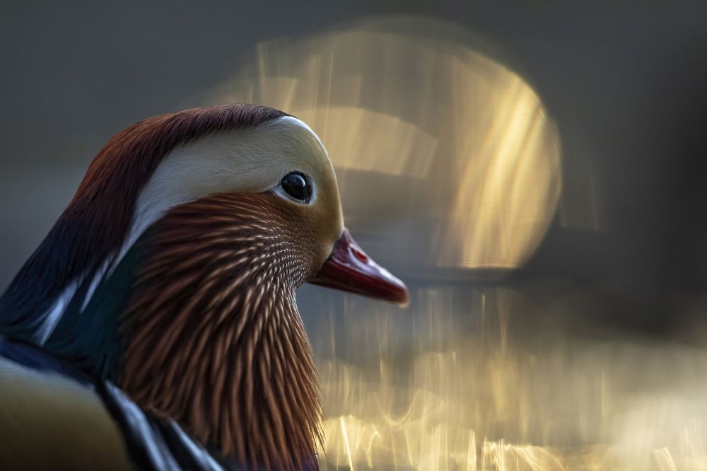 Photograph by Иван Добромыслов