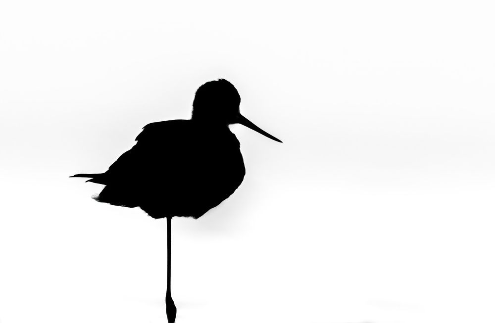 Photograph by Иван Добромыслов