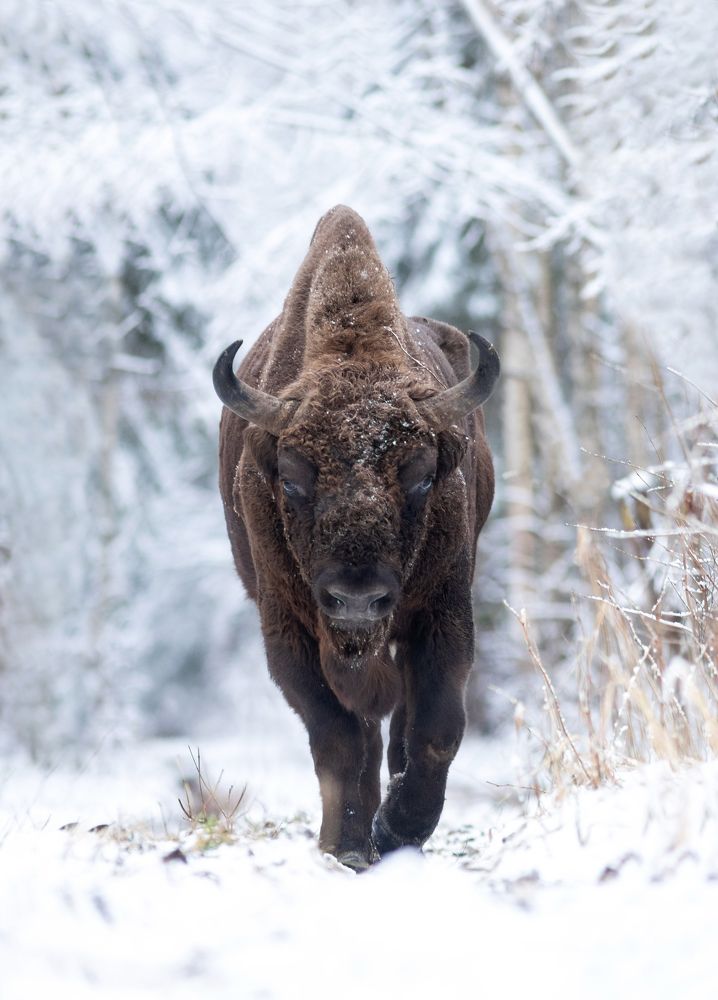 Photograph by Иван Добромыслов