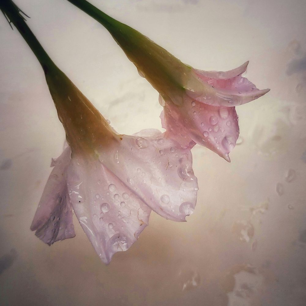 Photograph by Catherine