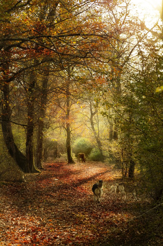 Photograph by Roja Alimohammadi