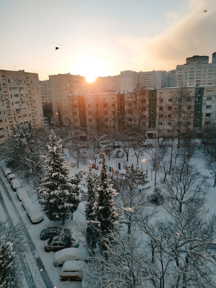 Снежный рассвет